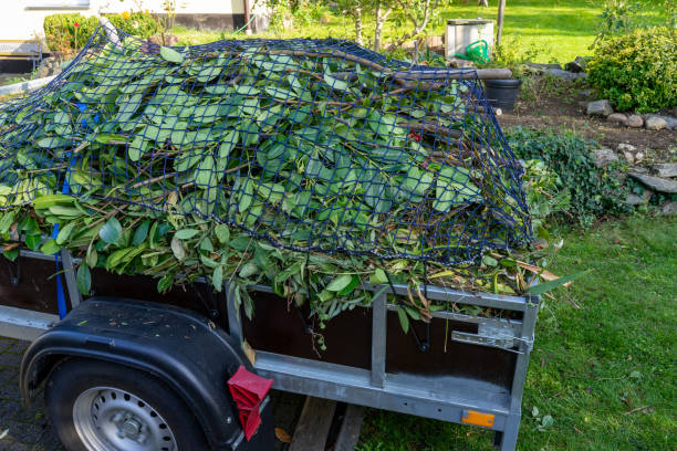 Shed Removal in South Hill, NY